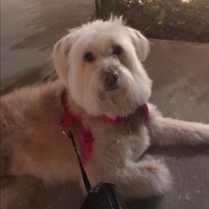 Meet your Posher, Daniela